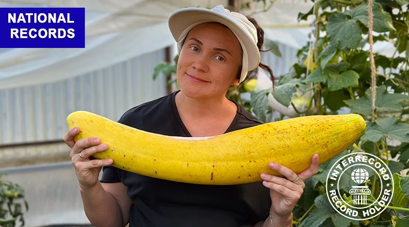 The heaviest cucumber ((Cucumis sativus)