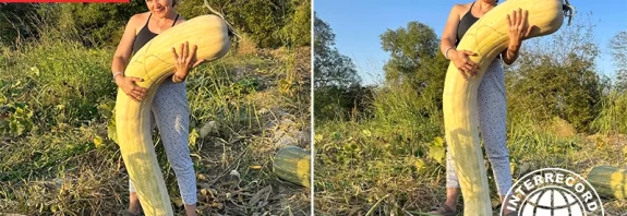 longest pumpkin (Lunga di Napoli)