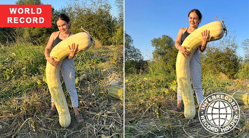 longest pumpkin (Lunga di Napoli)