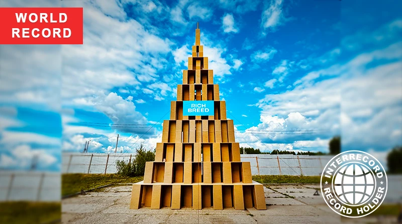 The tallest scratching post for cats, measuring 9.85 meters high