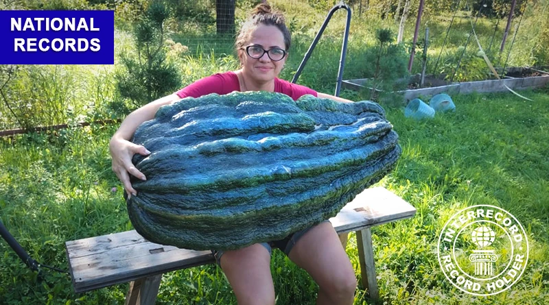 Кабачок Marrow