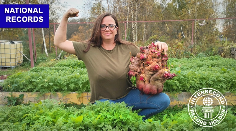 Giant Beetroot