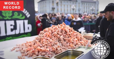 The largest serving of pelamid shavings (stroganina)